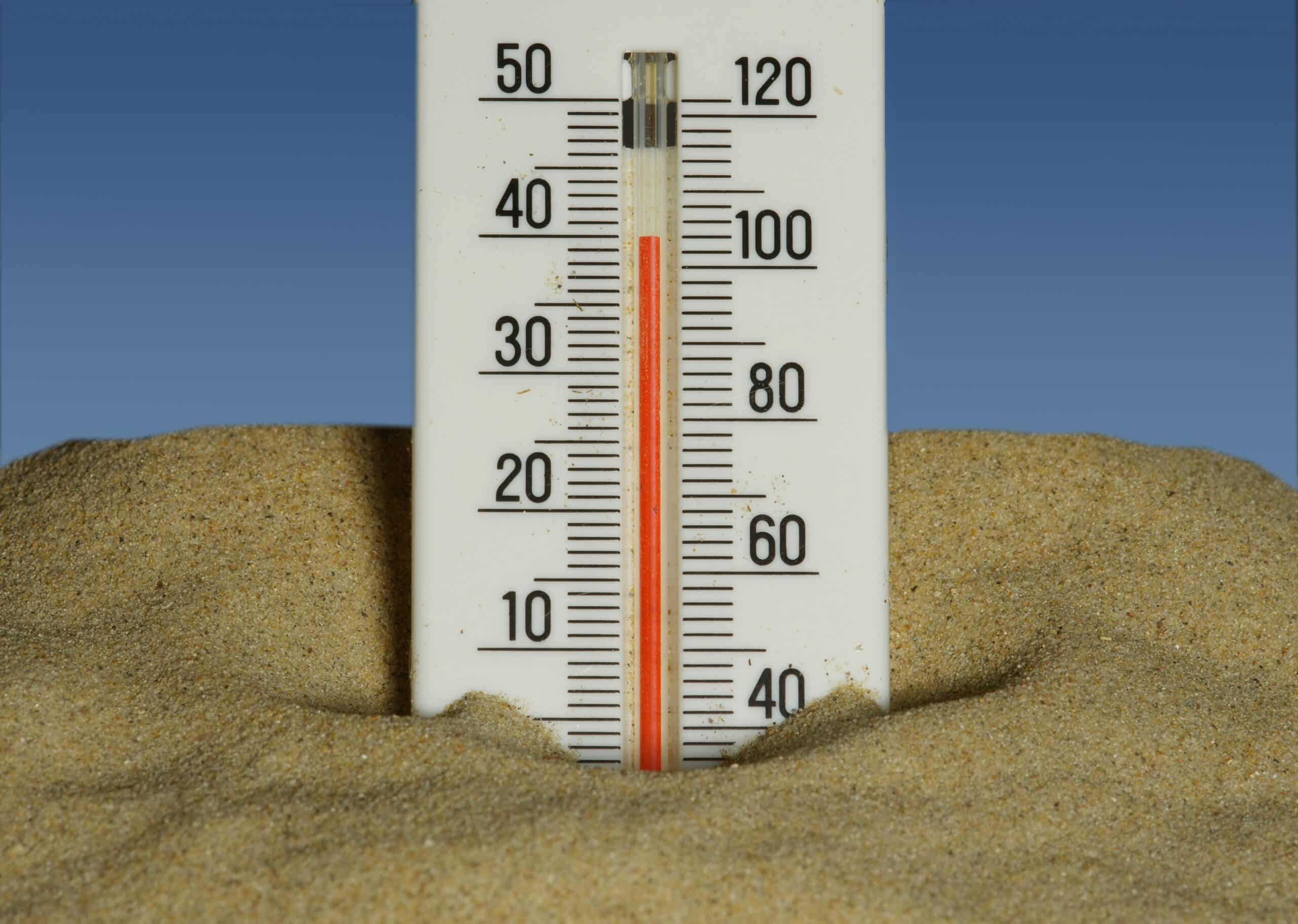 Running in the Heat: 9 Tips to Survive Summer Miles